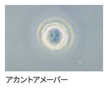 アカウントアメーバー